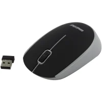 Мышь Smartbuy SBM-368AG-KG фото 1